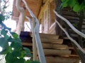 WP_20160520_006